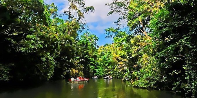 Only accessible by boat, the tiny fishing village of Tortuguero protects several species of sea turtles during nesting season. By riverboat, explore a fusion of ecosystems traveling through dense canals paralleling the coast.