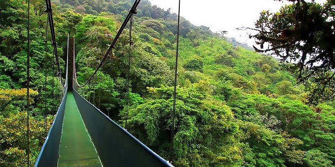 Sky Walk Hanging Bridges Tour - Guided Tour - Arenal Costa Rica
