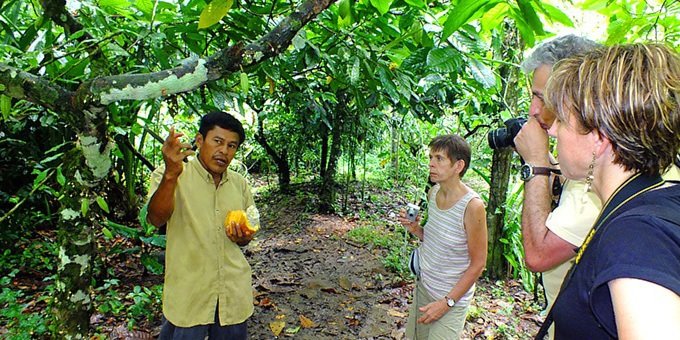  Bri Bri Village  Tour Cahuita Costa Rica