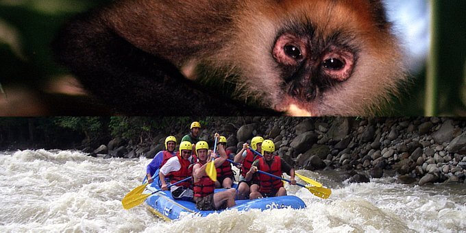 Choice: Riverboat Safari or Rio Sarapiqui Rafting
