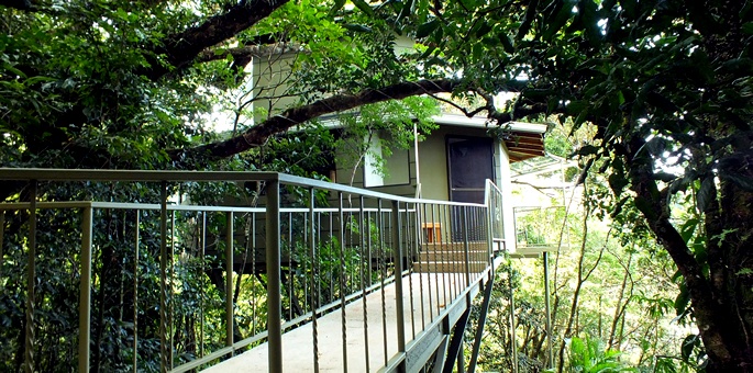 Hidden Canopy Treehouses Boutique Hotel at Monteverde Cloud Forest