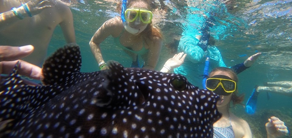 PRIVATE Snorkeling Boat Tour Tour - Tamarindo Costa Rica