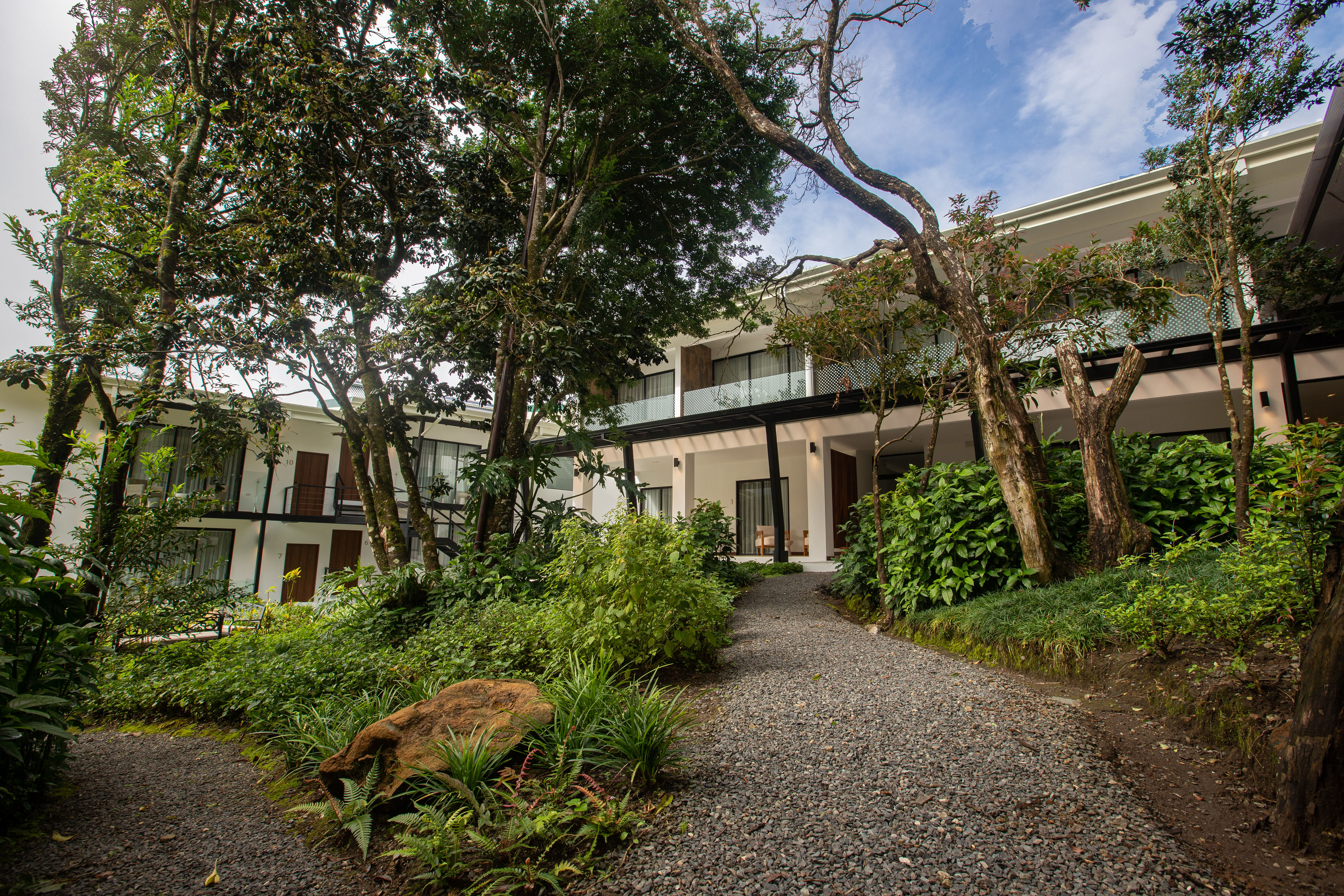 Ocotea Boutique Hotel in Monteverde Costa Rica