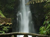 Costa Rica La Paz Waterfall Gardens Guided Tour